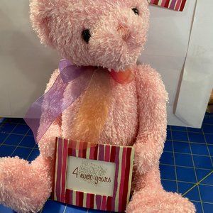 4Ever Yours Valentine Teddy Bear (Pink)